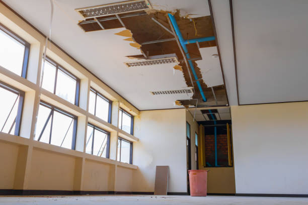 Best 24-hour water damage restoration  in Metamora, IL