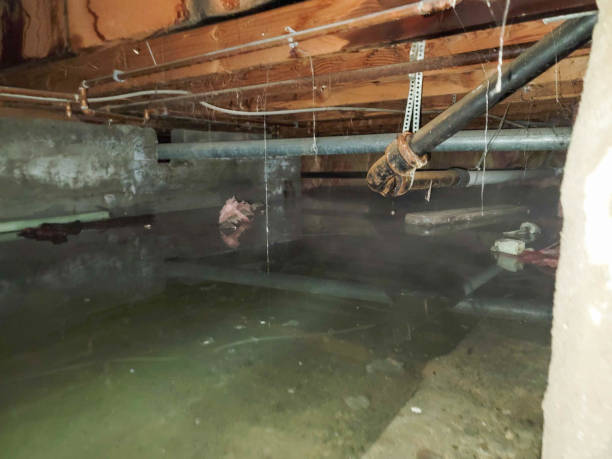 Best Water damage restoration near me  in Metamora, IL