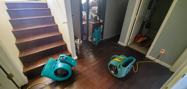Best Fire Damage Restoration  in Metamora, IL