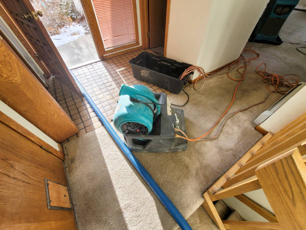 Best Local water damage restoration  in Metamora, IL