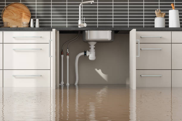 Sewage cleanup and water damage restoration in Metamora, IL